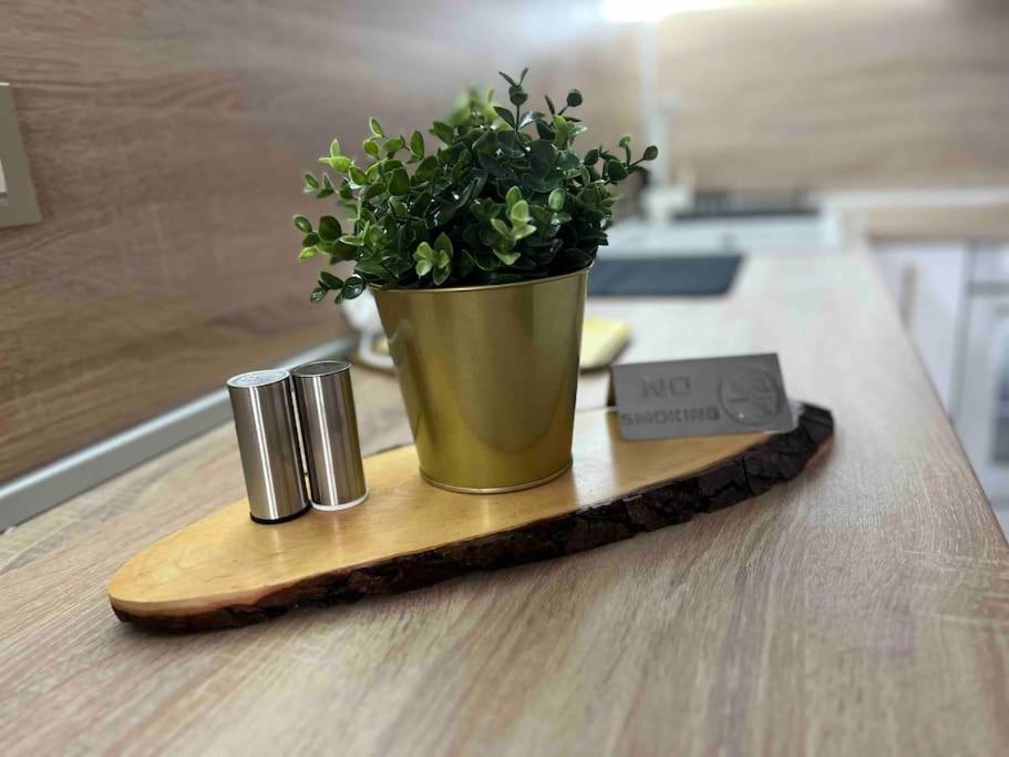 Cosy Appartement Green Life Банско Экстерьер фото